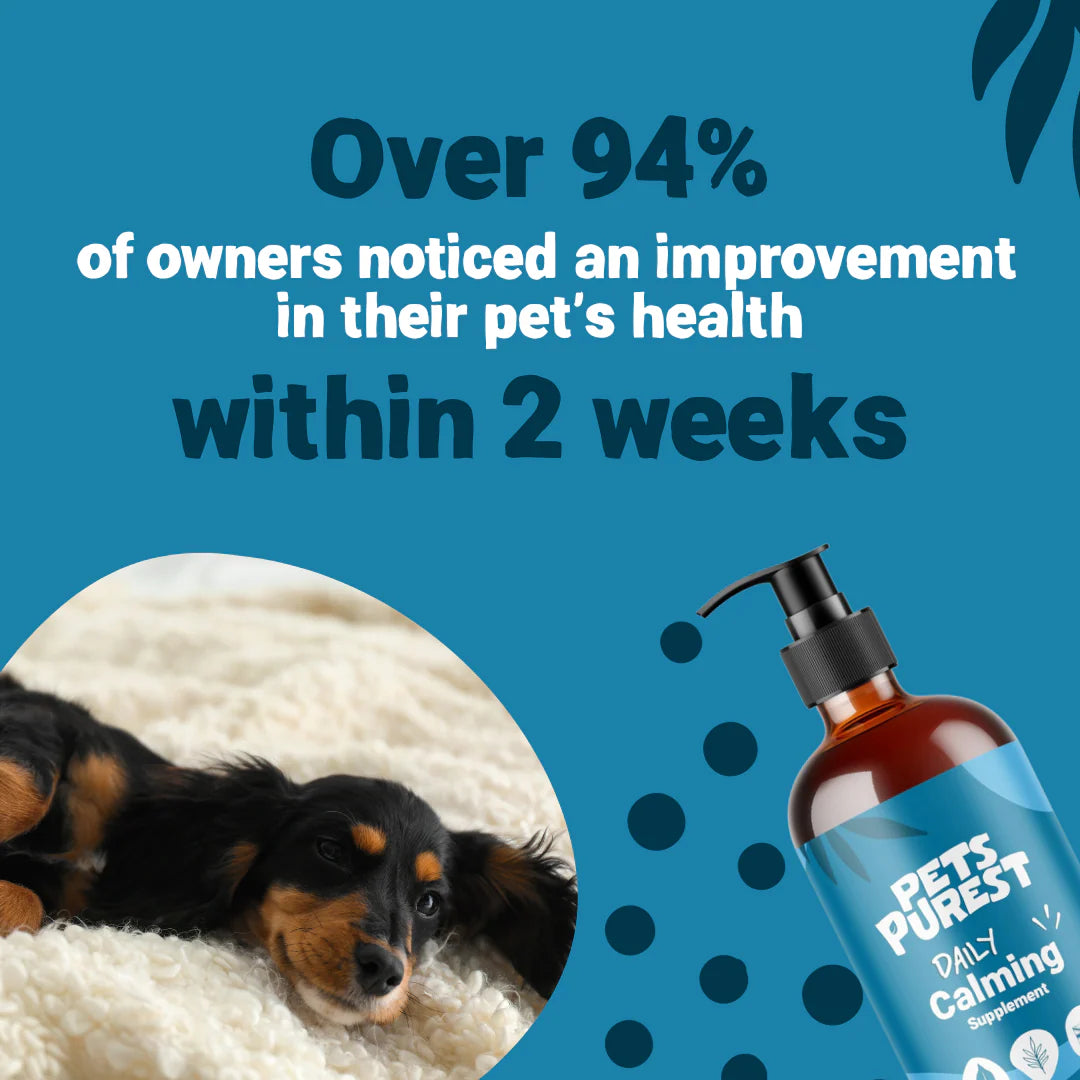 Calming Salmon Oil for Dogs &amp; Cats | 300ml Natural Anxiety &amp; Stress Relief