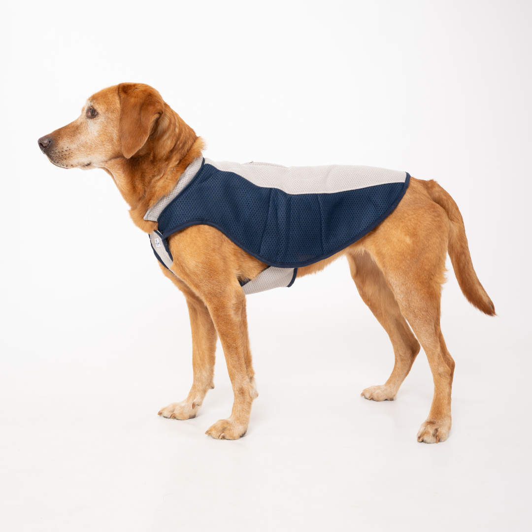 Ruff and Tumble Dog Cooling Coat