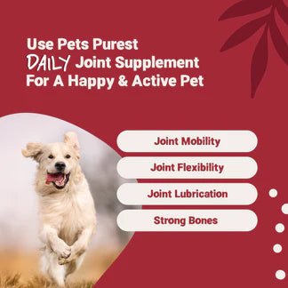 Daily Joint Salmon Oil for Dogs &amp; Cats | 300ml Advanced Mobility Supplement