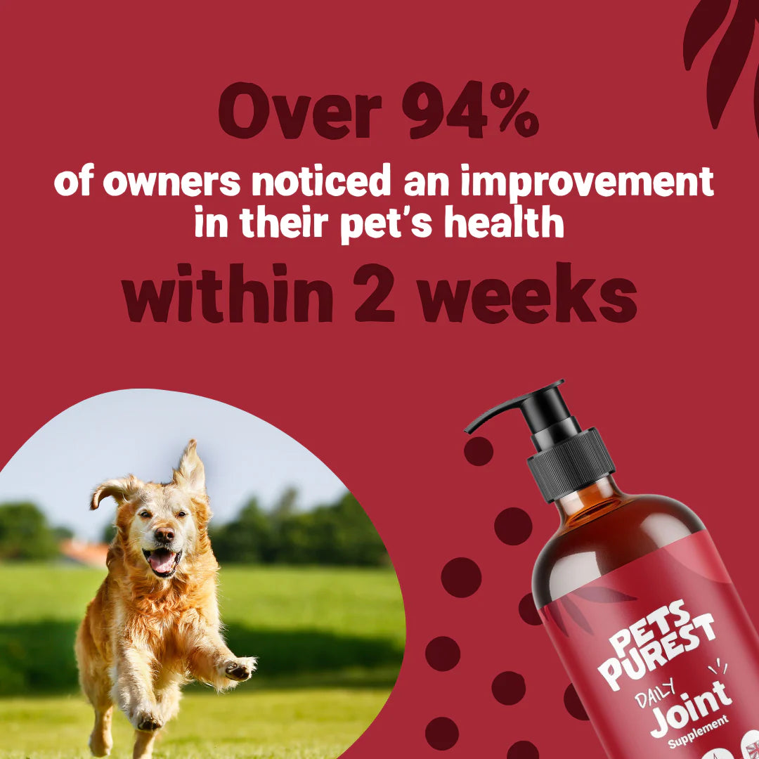 Daily Joint Salmon Oil for Dogs &amp; Cats | 300ml Advanced Mobility Supplement