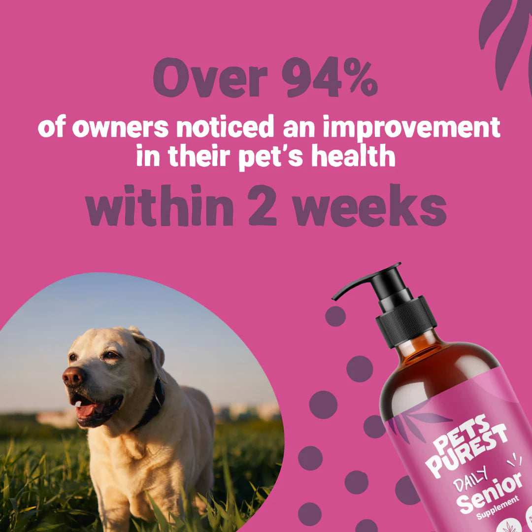 Senior Salmon Oil for Dogs &amp; Cats (300ml) | Natural Joint &amp; Brain Care