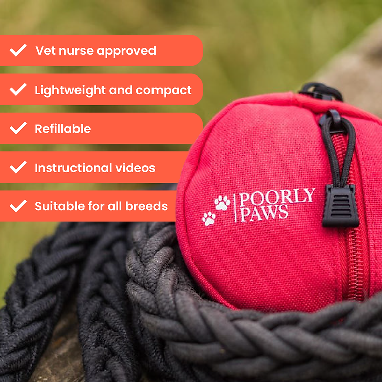 Poorly Paws Dog First Aid Kit