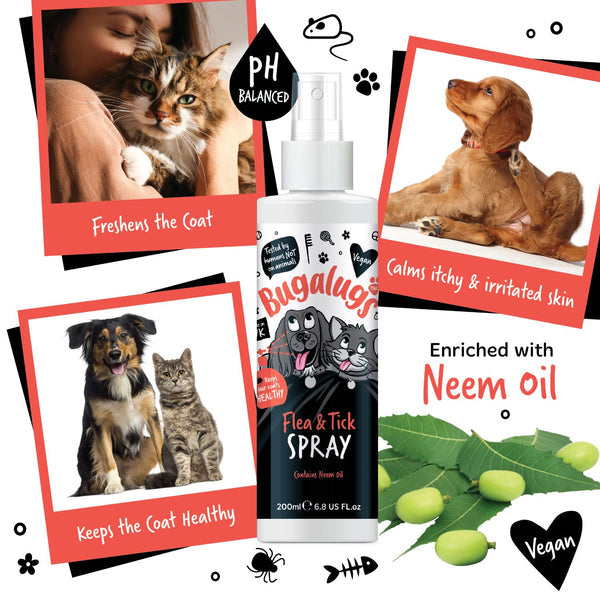 Bugalugs Dog Flea &amp; Tick Spray 200ml