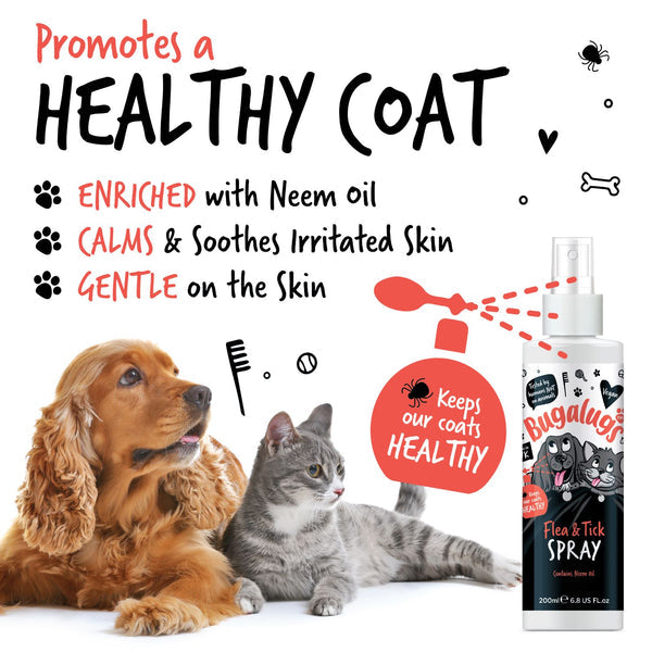 Bugalugs Dog Flea &amp; Tick Spray 200ml