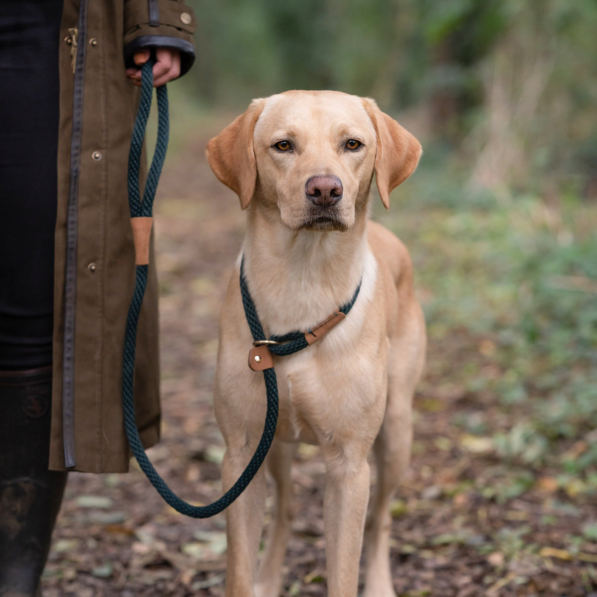 Ruff and Tumble slip lead - Old style