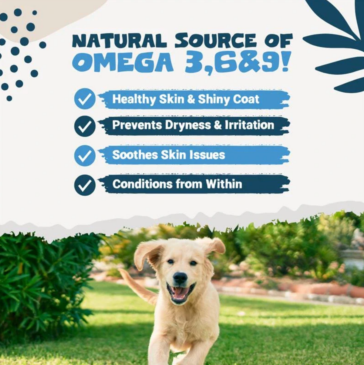 Goats Milk Powder for Dogs &amp; Cats | 250g Digestive Supplement