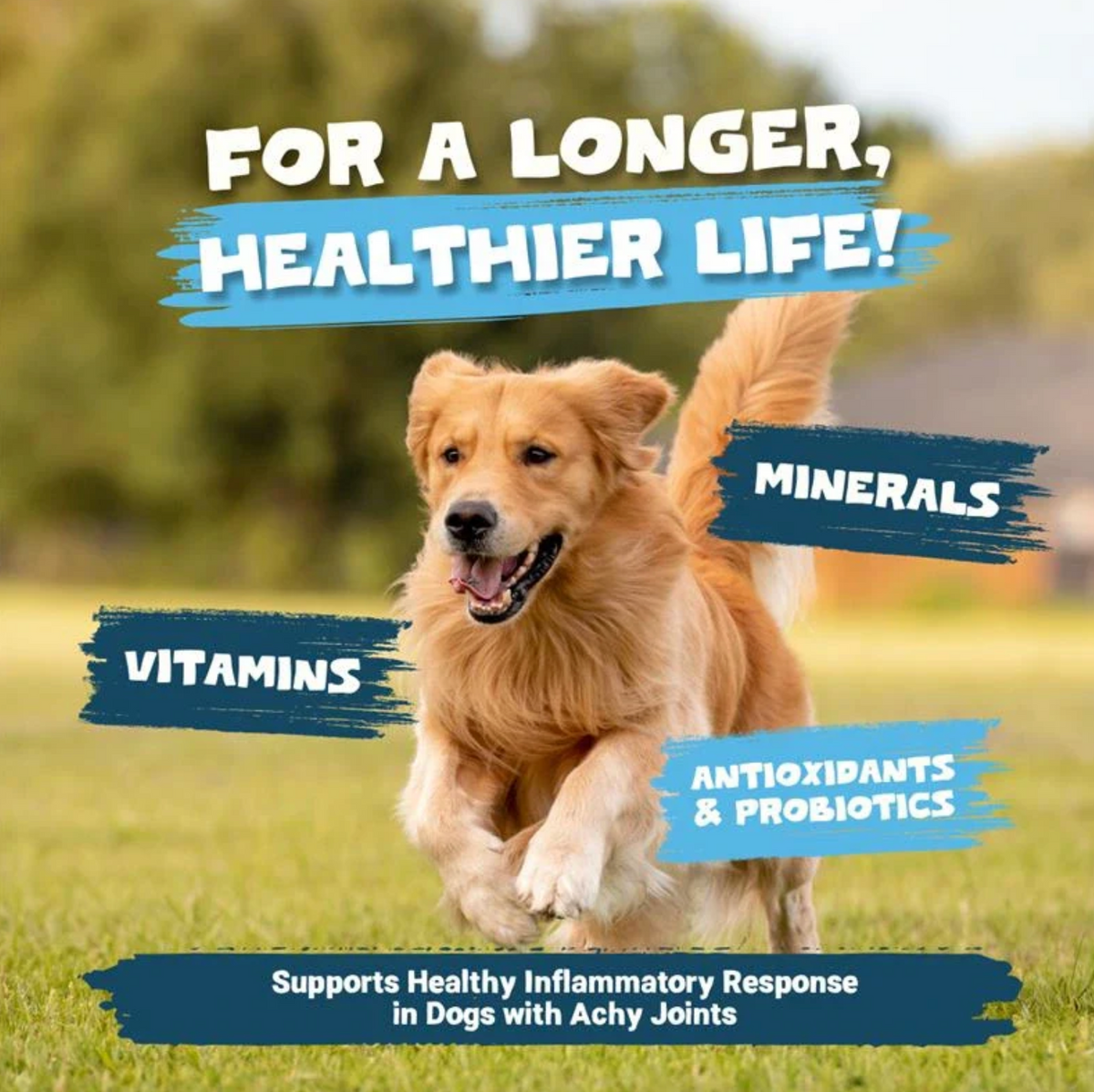 Goats Milk Powder for Dogs &amp; Cats | 250g Digestive Supplement