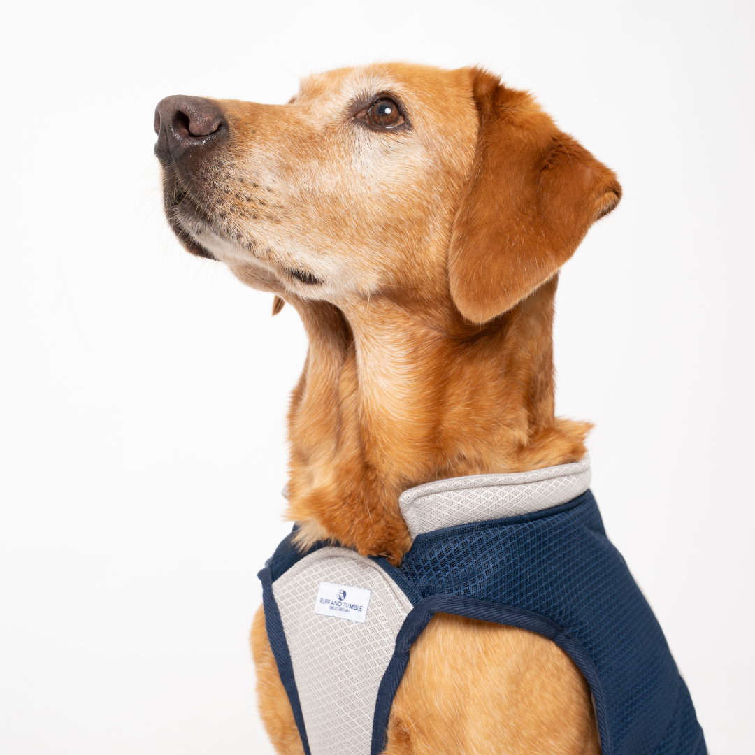 Ruff and Tumble Dog Cooling Coat