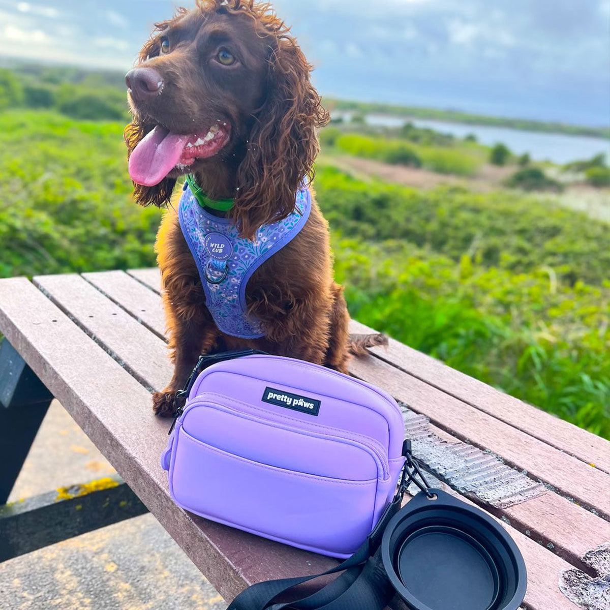 Pretty Paws Lilac Dog Walking Bag | Organised, Stylish &amp; Practical for Daily Walks