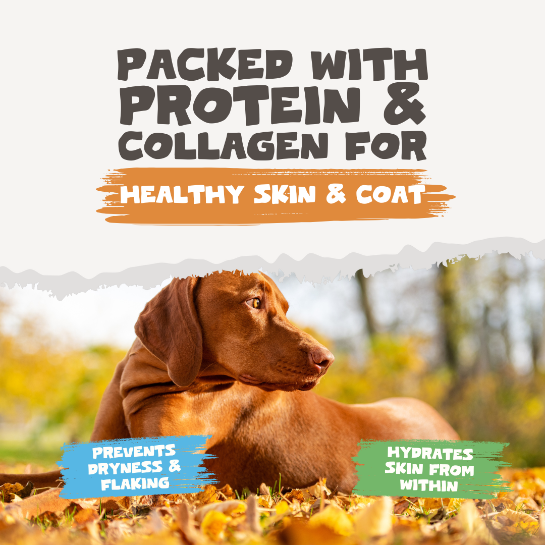 Natural Chicken Bone Broth Powder for Dogs &amp; Cats | 250g