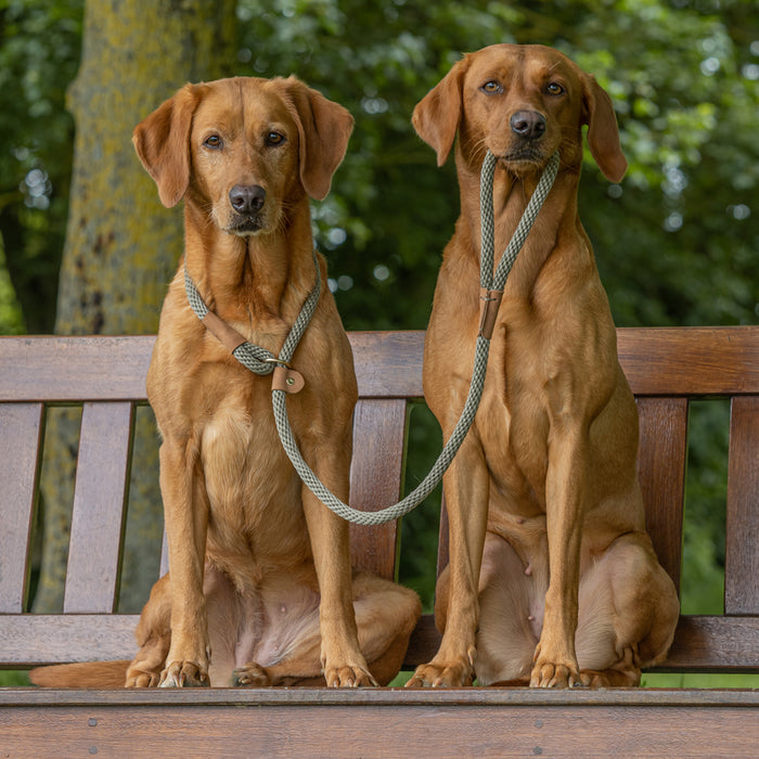 Ruff and Tumble slip lead - Old style
