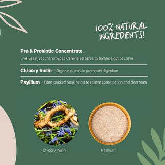 Pre &amp; Probiotic Powder for Dogs &amp; Cats | Natural Gut Health Supplement