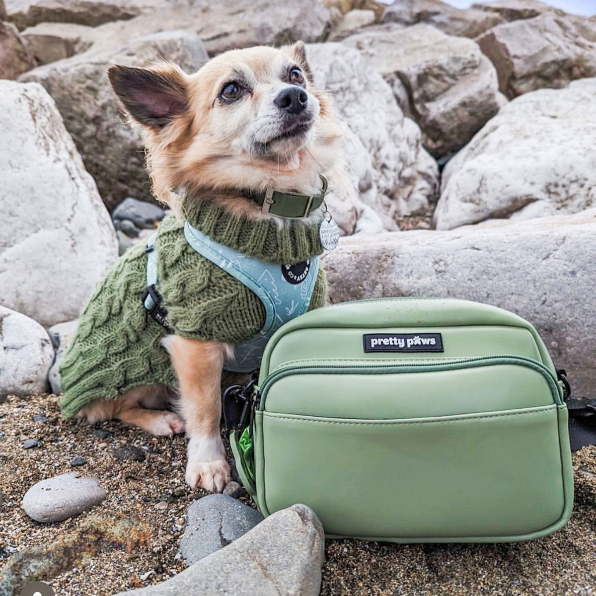 Green Dog Walking Bag