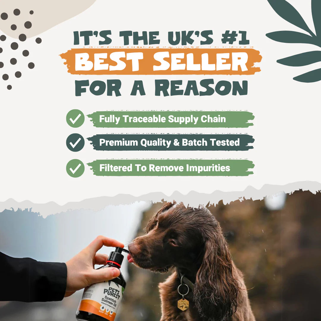 Natural Scottish Salmon Oil for Dogs &amp; Cats | 300ml Premium Omega Supplement