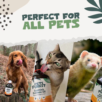 Natural Scottish Salmon Oil for Dogs &amp; Cats | 300ml Premium Omega Supplement
