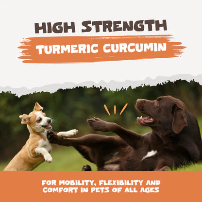 Natural Turmeric Curcumin for Dogs &amp; Cats | 60 High-Strength 500mg Capsules