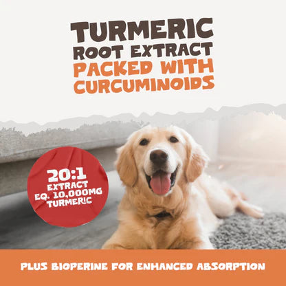 Natural Turmeric Curcumin for Dogs &amp; Cats | 60 High-Strength 500mg Capsules