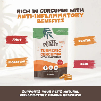 Natural Turmeric Curcumin for Dogs &amp; Cats | 60 High-Strength 500mg Capsules
