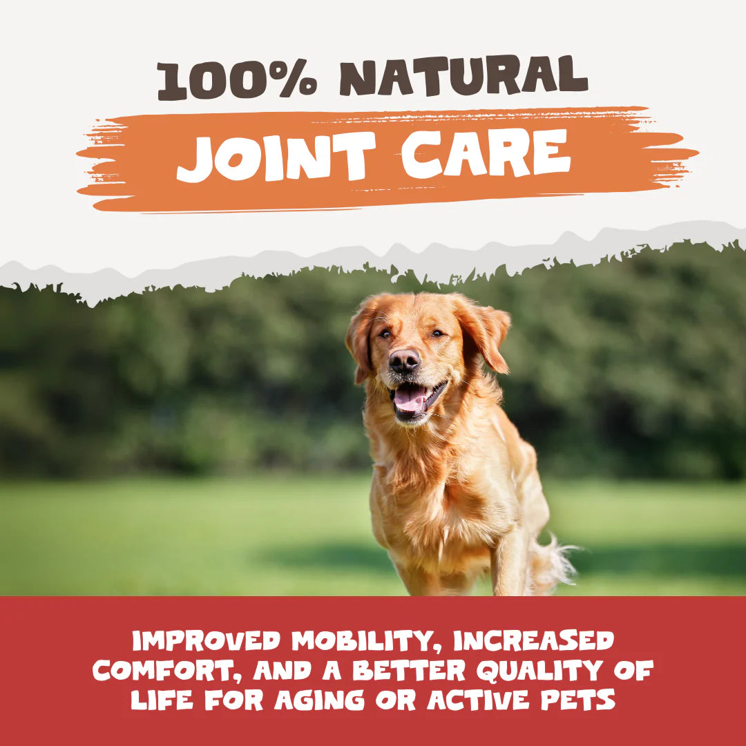 Natural Turmeric Curcumin for Dogs &amp; Cats | 60 High-Strength 500mg Capsules