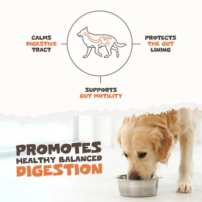Natural Turmeric Curcumin for Dogs &amp; Cats | 60 High-Strength 500mg Capsules