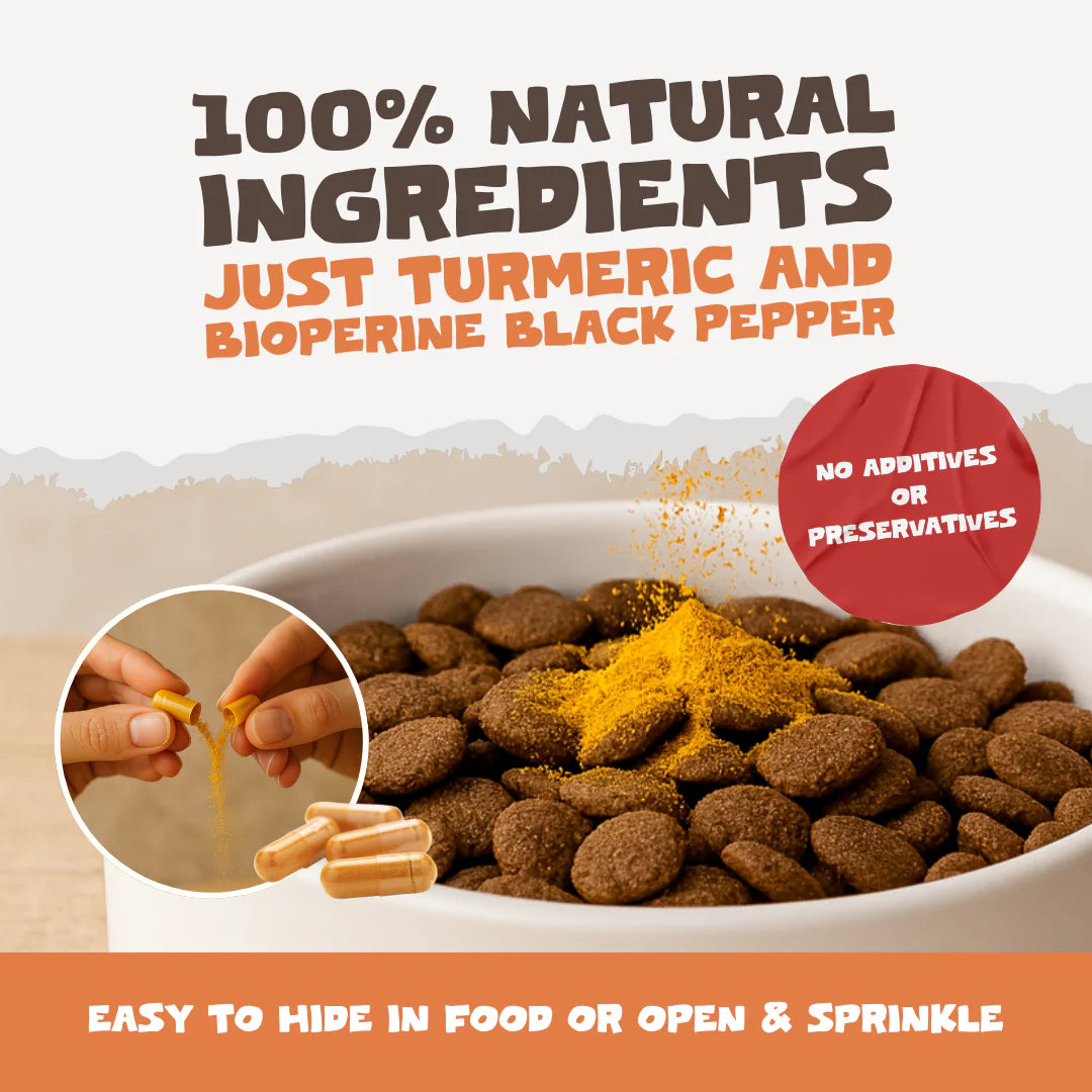 Natural Turmeric Curcumin for Dogs &amp; Cats | 60 High-Strength 500mg Capsules