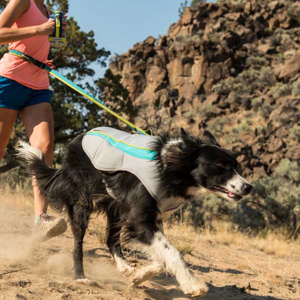 Ruffwear Swamp Cooler Cooling Vest