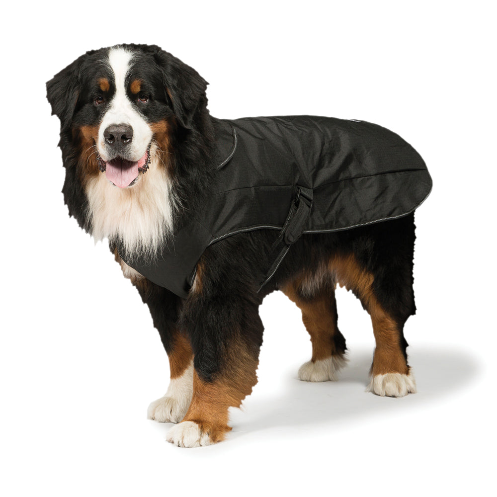 Danish Design 2 in 1 Harness Dog Coat DC25THB on www.dogsdogsdogs.co.uk