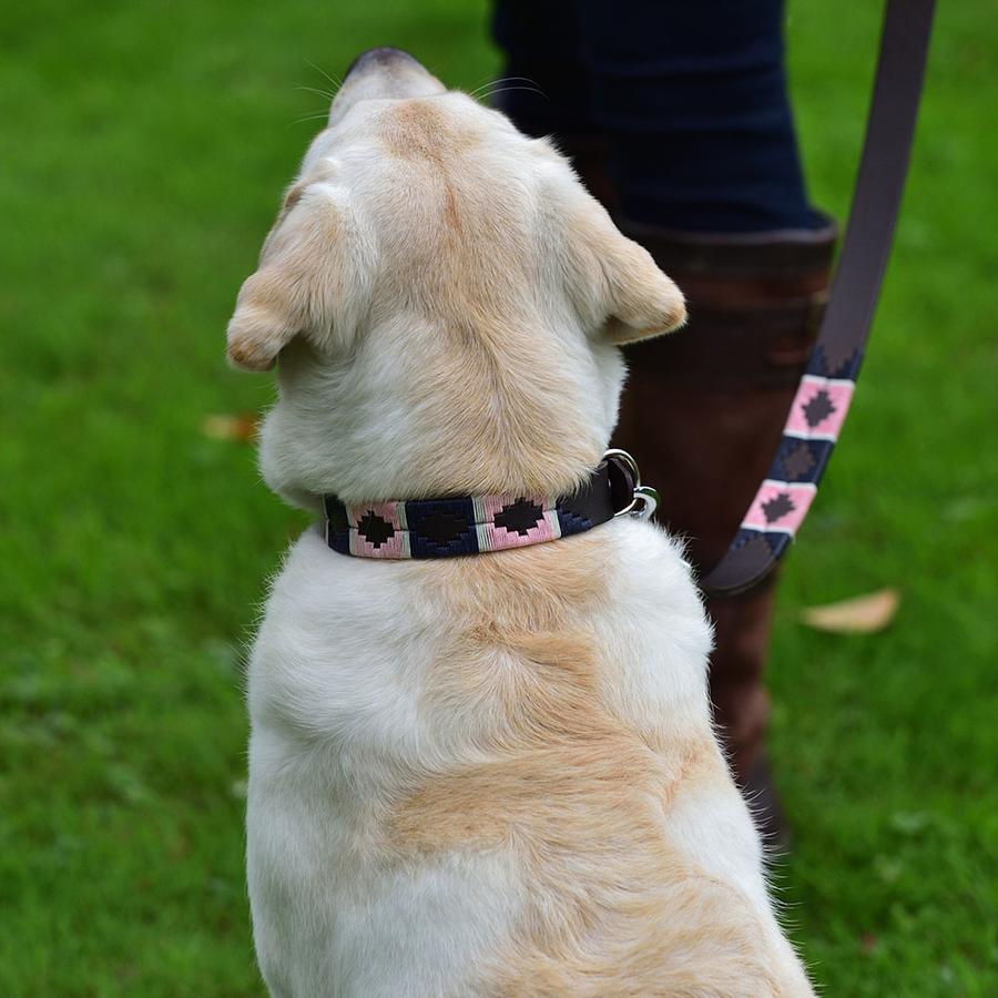 Pioneros Polo Dog Collar - Pink, Navy & White Stripe at £27.99