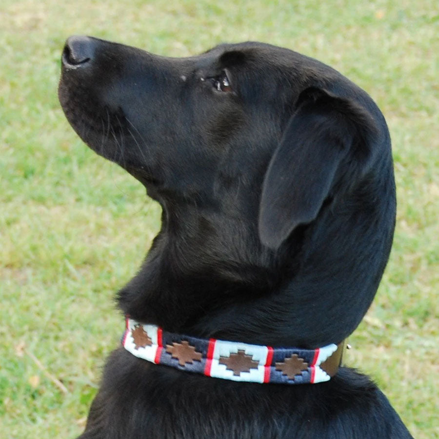 Pioneros Polo Dog Collar - Navy, Pale Blue & Red Stripe at £27.99