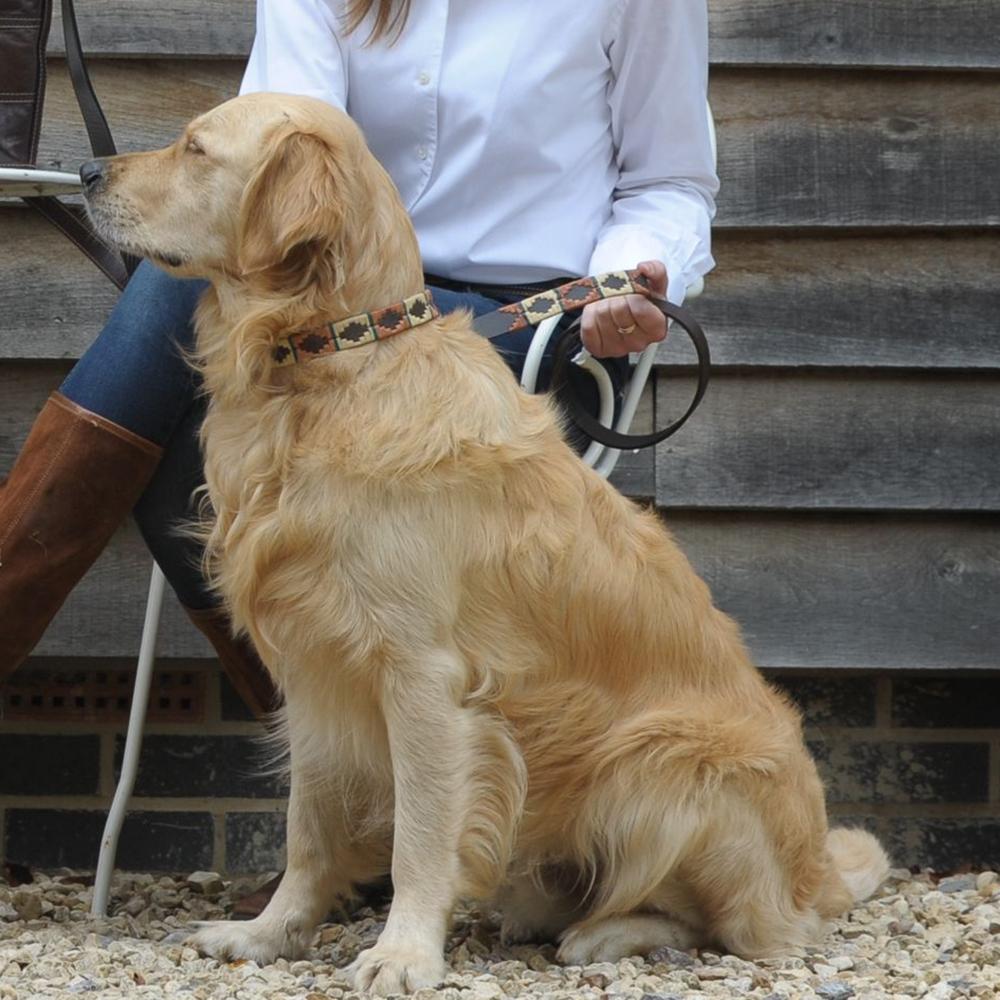 Pioneros Polo Dog Lead - Copper, Beige & Green Stripe at £34.99