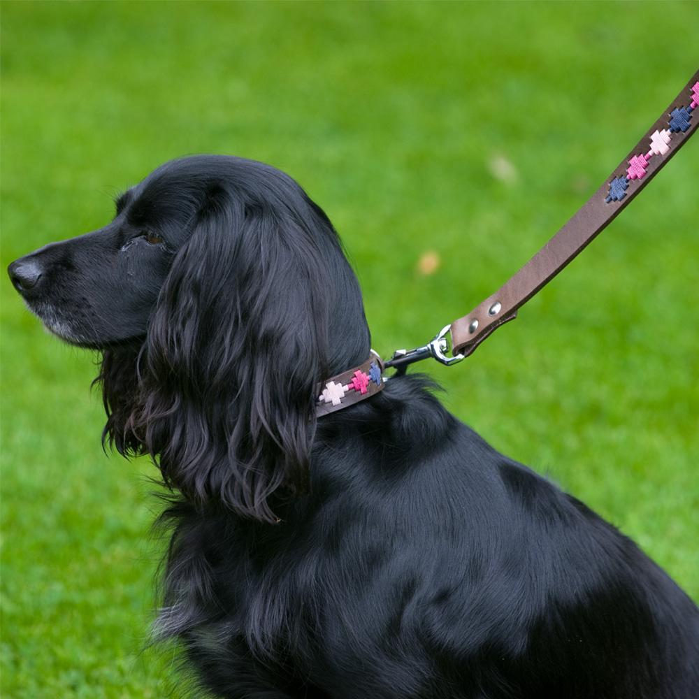 Pioneros Polo Dog Lead - Pampa Cross - Berry, Navy & Pink at £34.99