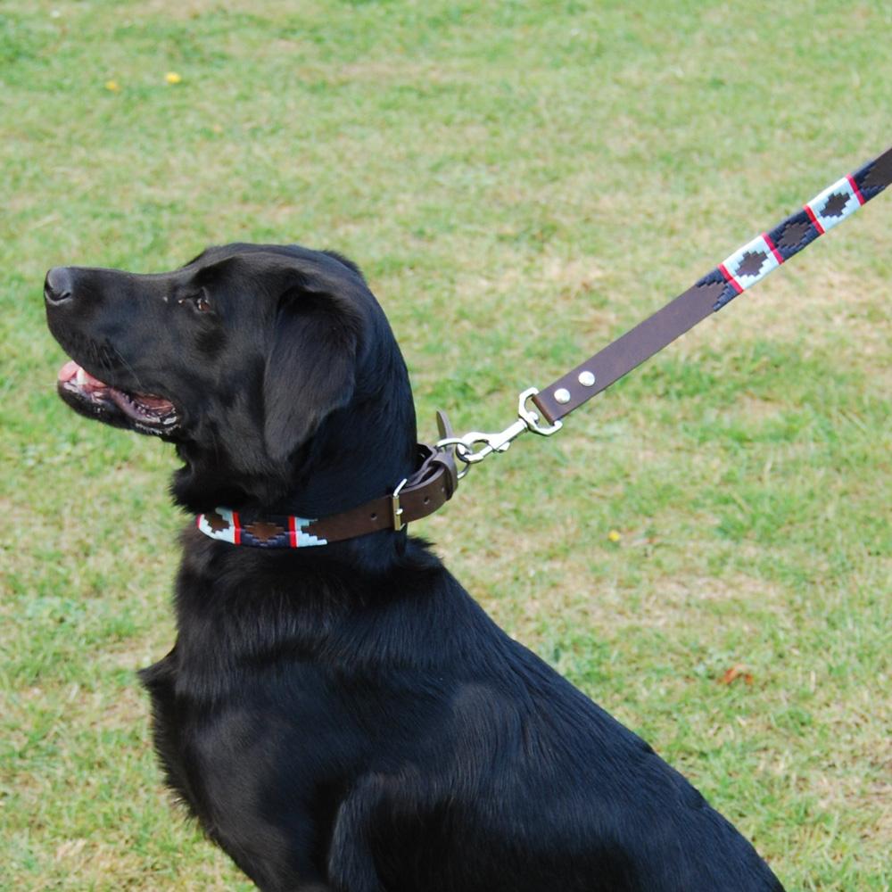 Pioneros Polo Dog Lead - Navy, Pale Blue & Red Stripe at £34.99
