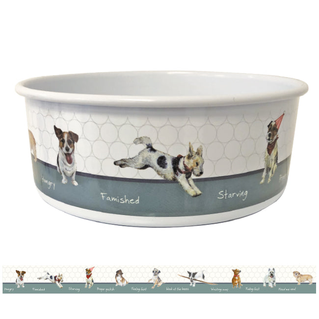 Printed Dog Bowl  on www.dogsdogsdogs.co.uk