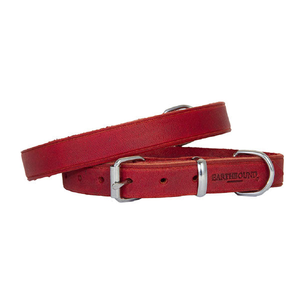 Earthbound Soft Country Red Leather Collar