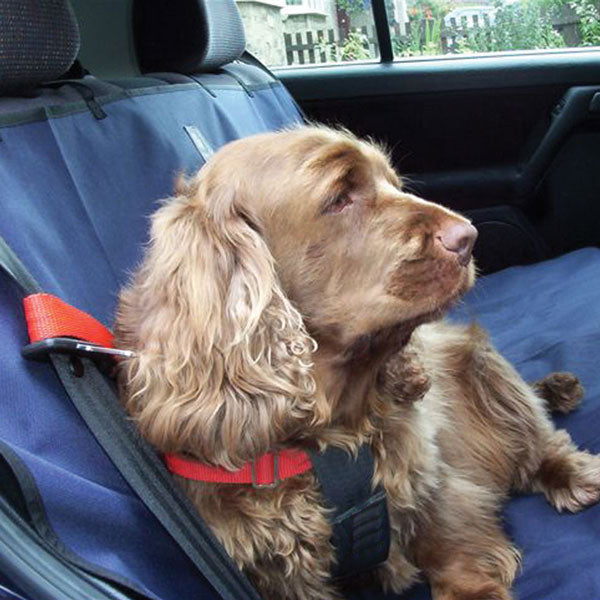 Danish Design Waterproof Car Seat Cover CSC on www.dogsdogsdogs.co.uk