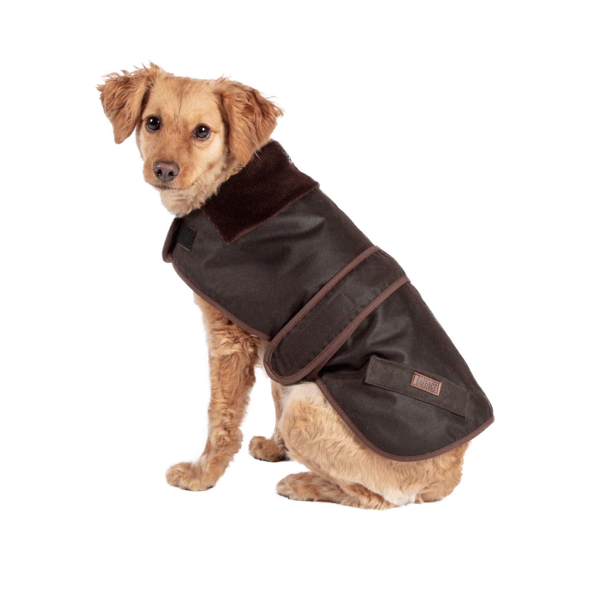 FatFace Susssex Wax Dog Coat at £27.99