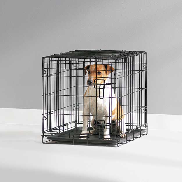 Savic Dog Cottage Crate  on www.dogsdogsdogs.co.uk