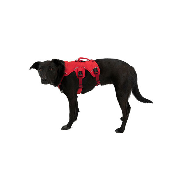 Ruffwear webmaster harness small sale