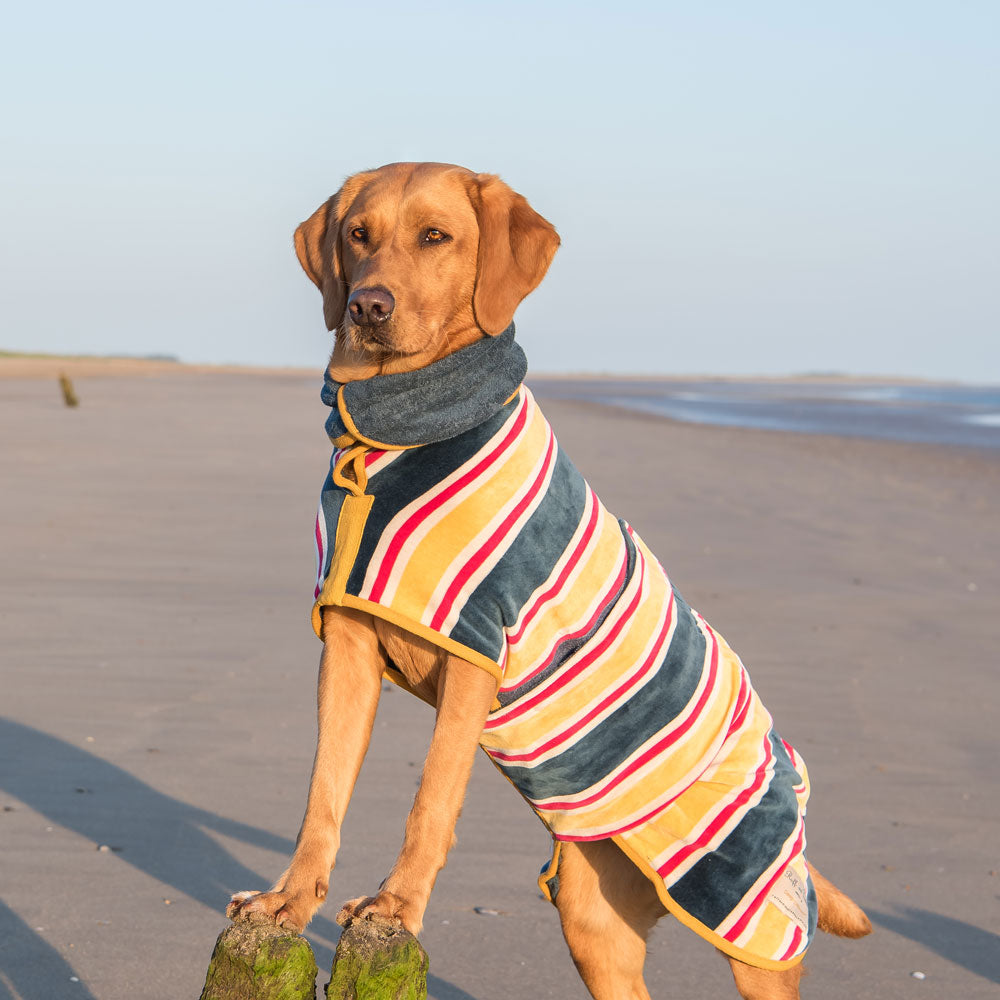 Ruff and Tumble Beach Collection Drying Coat  on www.dogsdogsdogs.co.uk