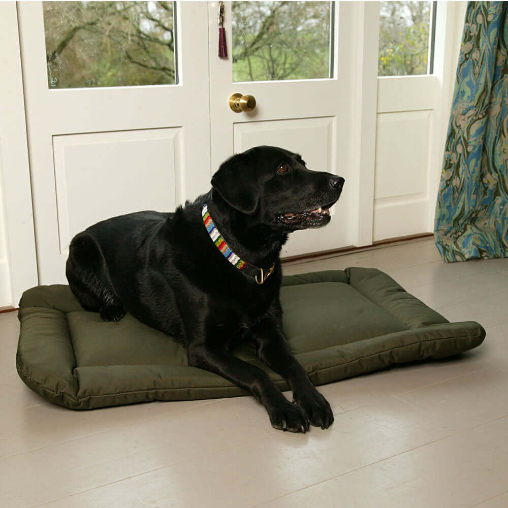 Country Dog Heavy Duty Waterproof Crate Pad RWC2BR on www.dogsdogsdogs.co.uk