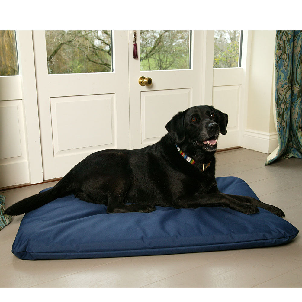 Country Dog Heavy Duty Waterproof Duvet WPDSG on www.dogsdogsdogs.co.uk