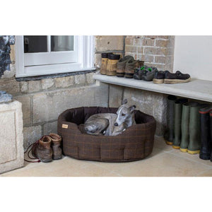 Cheapest earthbound dog beds 2025