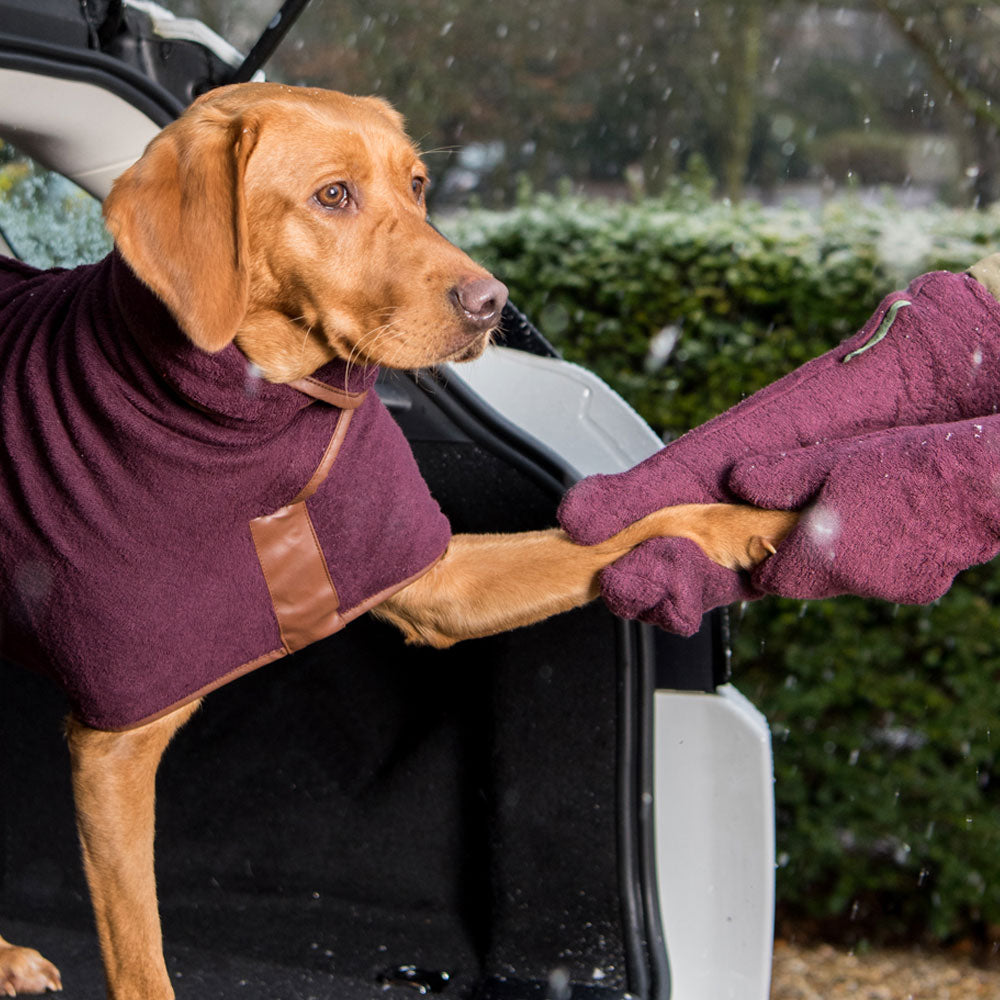 Ruff & Tumble Drying Mitts DMBU on www.dogsdogsdogs.co.uk