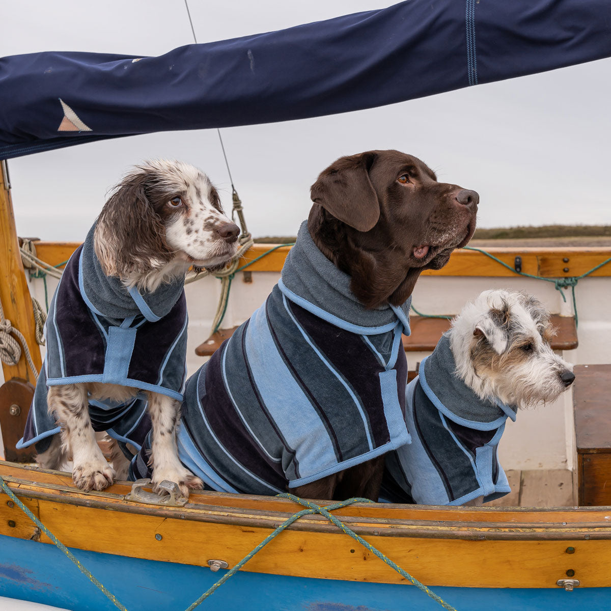 Ruff and Tumble Harbour Collection Drying Coat  on www.dogsdogsdogs.co.uk
