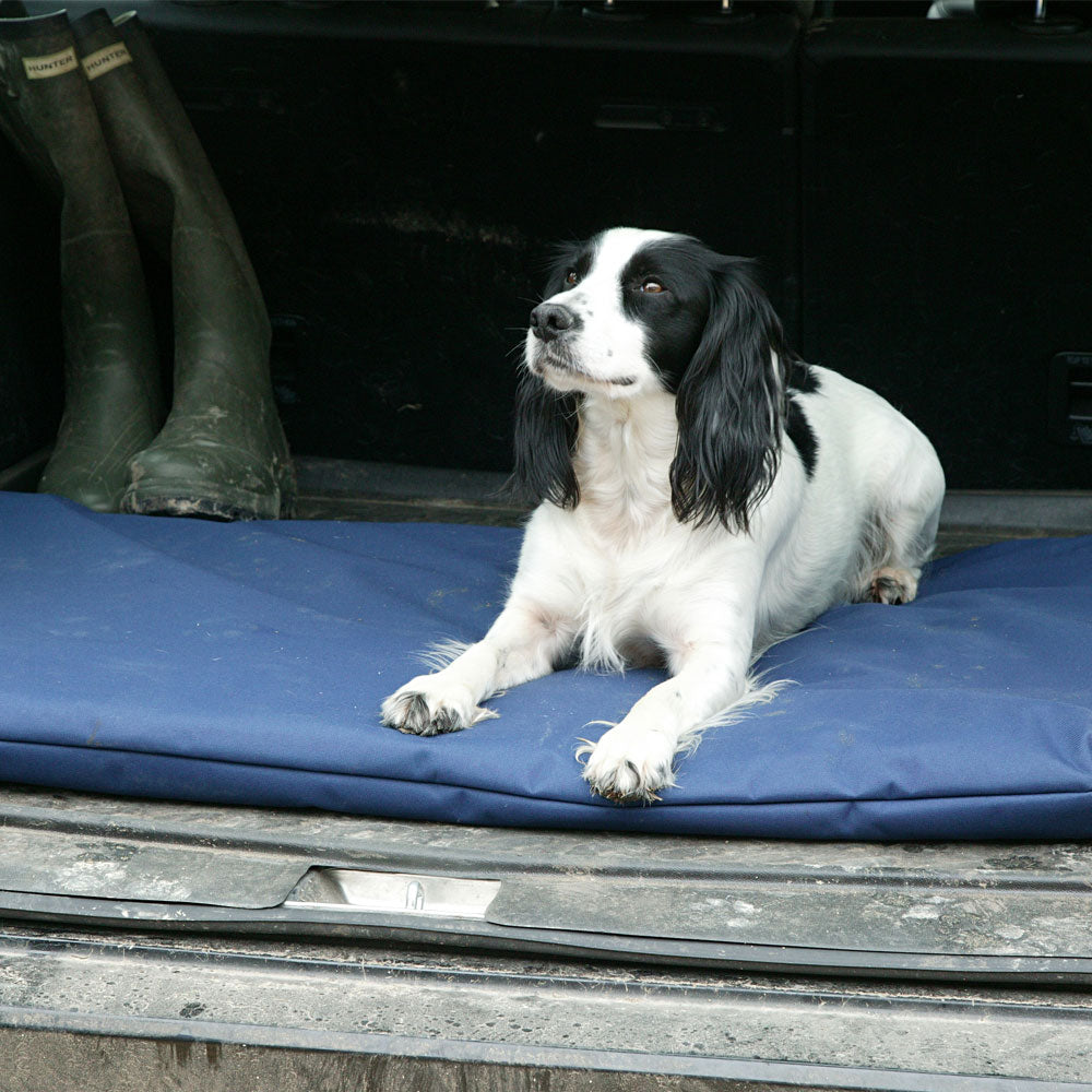 Country Dog Heavy Duty Waterproof Duvet WPDSG on www.dogsdogsdogs.co.uk