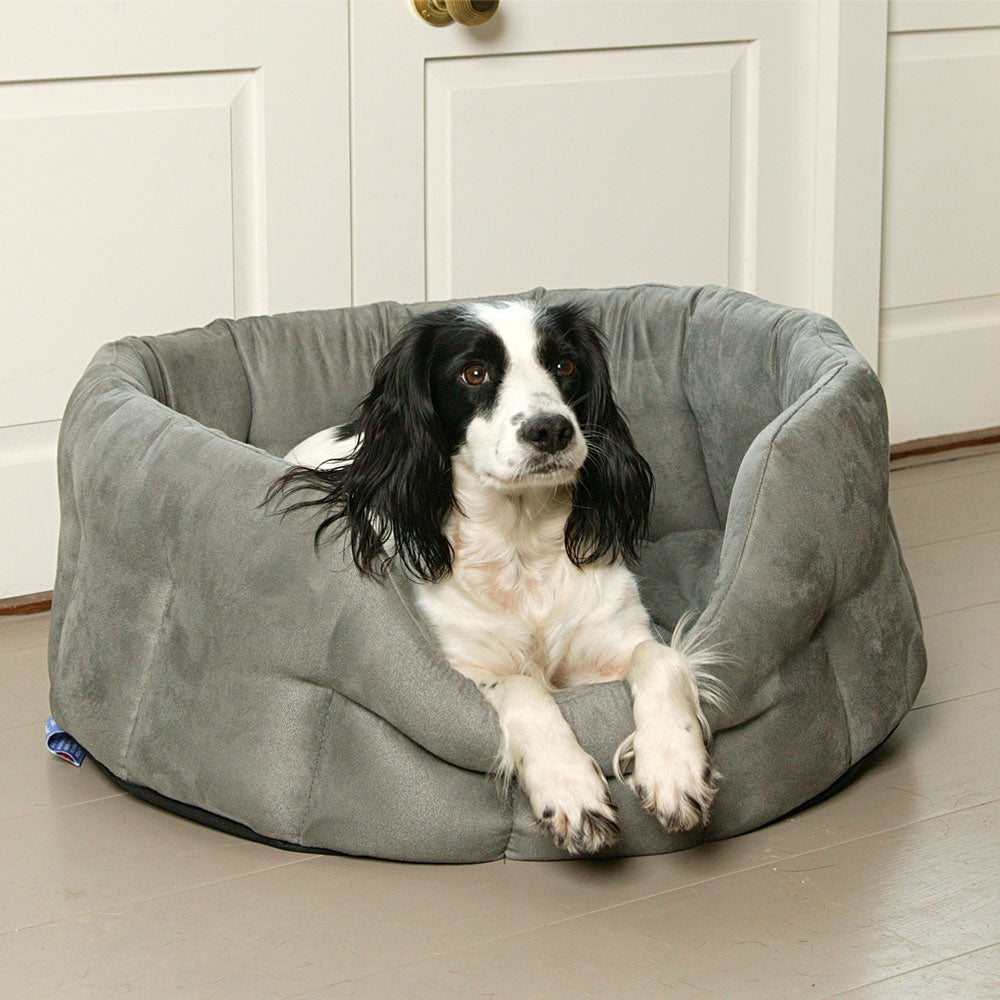 P&L Superior Pet Beds Premium Oval Faux Suede Softee Bed PSOFT3NG on www.dogsdogsdogs.co.uk