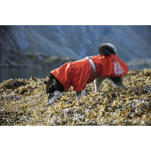Hurtta Monsoon Coat ECO  on www.dogsdogsdogs.co.uk
